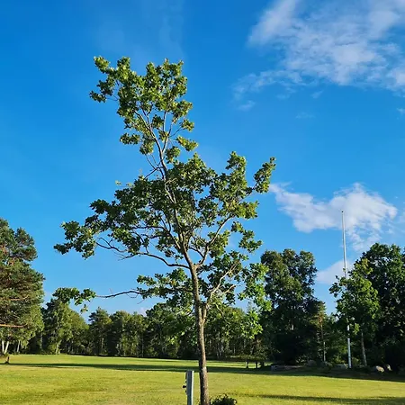 Ferienhaus 10 Person In